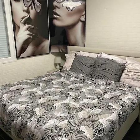 Au Petit Bonheur Imprevu Apartment Douai